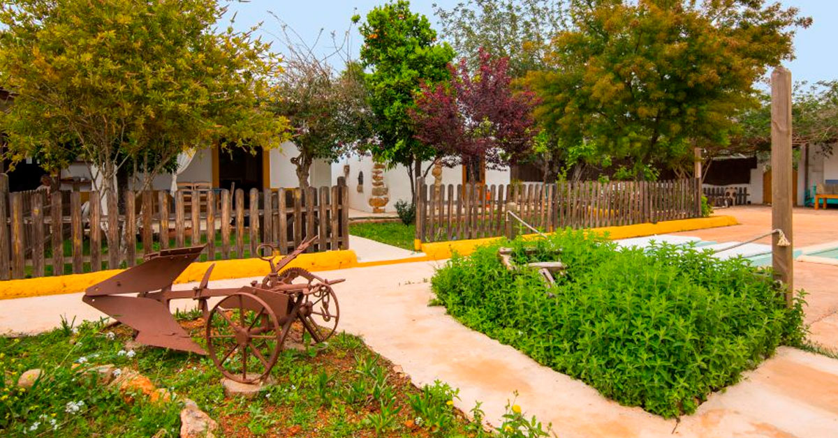 casa morna agroturismo consciente ibiza